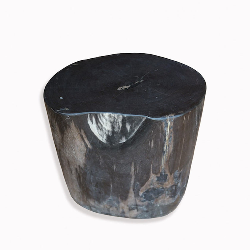 PF-2093 Petrified Wood Stool by AIRE Furniture