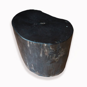 Petrified Wood Stool -16"h- PF2093-Black Dappled