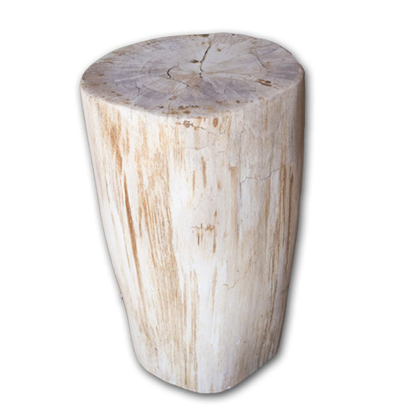 Petrified Wood Log Stool PF-2096 by AIRE Furniture