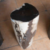 Petrified Wood Stool-20"h- PF2102
