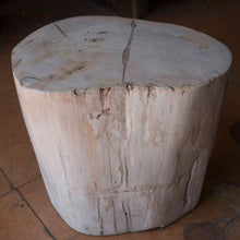 Petrified Wood Stool-16"h- PF2109- Antique White