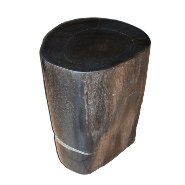 Petrified Wood Log Stool PF-2112 by AIRE Furniture