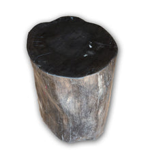 Petrified Wood Log Stool PF-2114 by AIRE Furniture