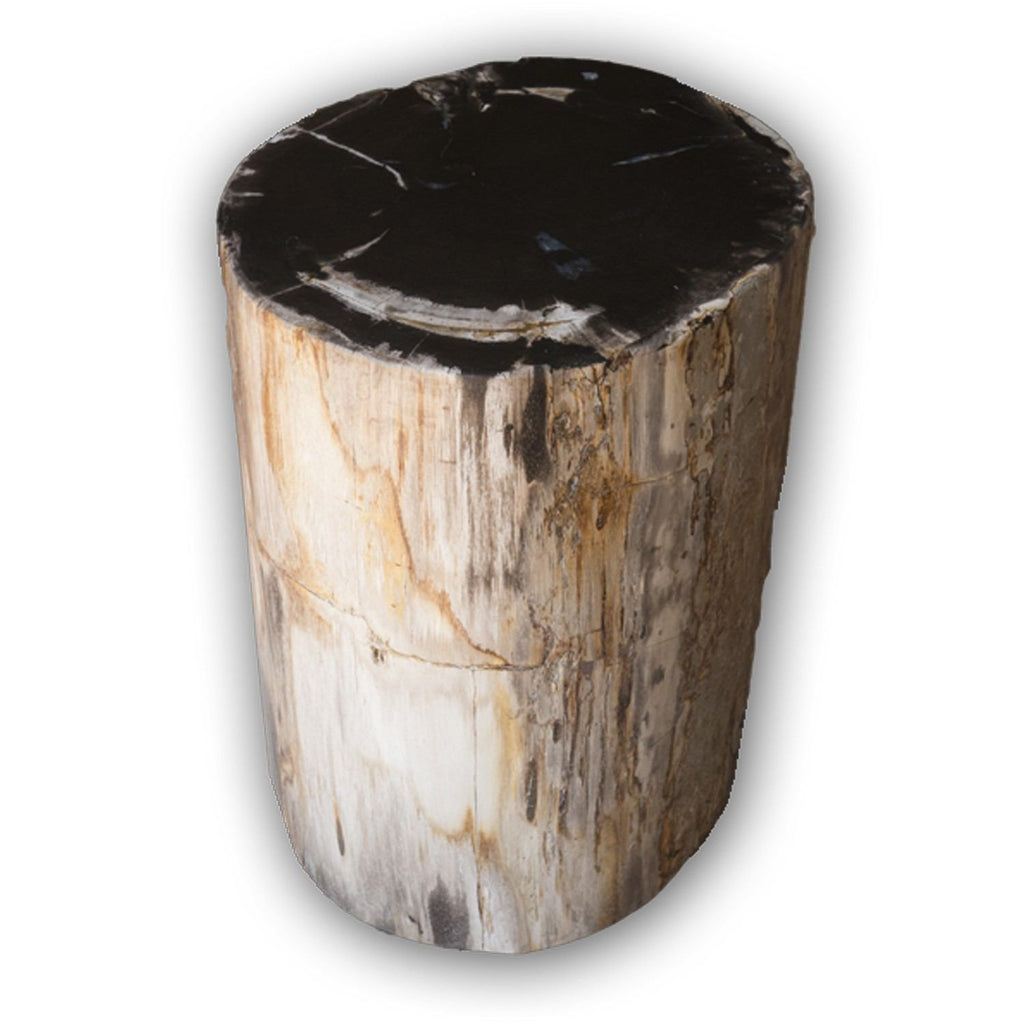 Petrified Wood Stool22"h PF2116 Black Core Aire Furniture