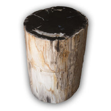 Petrified Wood Log Stool PF-2116 by AIRE Furniture