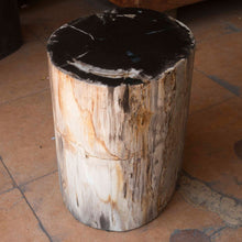 Petrified Wood Stool-22"h- PF2116- Black Core