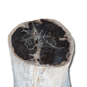Petrified Wood Stool-12"x11"x 16"- PF-2137