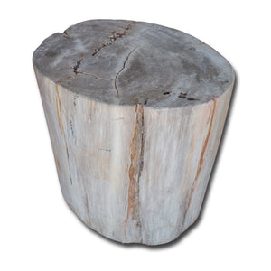 Petrified Wood Stool-16"h- PF2142