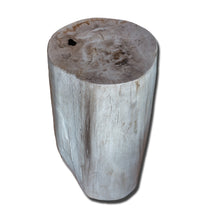 Petrified Wood Stool PF-2163- 10"x9" x 20"