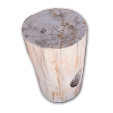 Petrified Wood Stool-20"h- PF2105