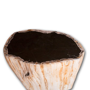 Petrified Wood Stool 13"x 8" x 15'h- Cream/Black Core Rare Side Table