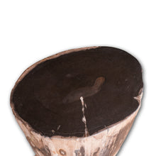 Petrified Wood Stool-16"h- Rare Ivory Ring/Black Core Side Table by Aire
