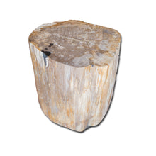 Petrified Wood Stool PF-2131