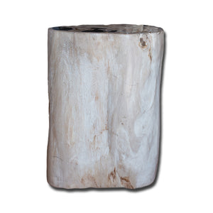 Petrified Wood Stool-17"h- PF-2134