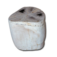 Petrified Wood Stool-17"h- PF-2134