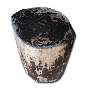 Petrified Wood Stool- 18"h- PF2154