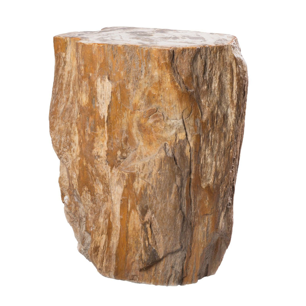 Petrified Wood Stool-18"(H) x 14" x 10"- PF1010
