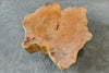 Mango Wood Low Coffee Table by Artisan Living-ALF1168-6
