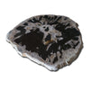 PF-1117 Petrified Wood Slab With Custom Made Base by AIRE Furniture