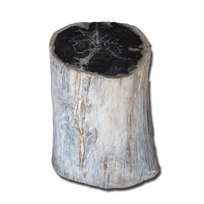 PF-2137 Petrified Wood Stool by AIRE Furniture