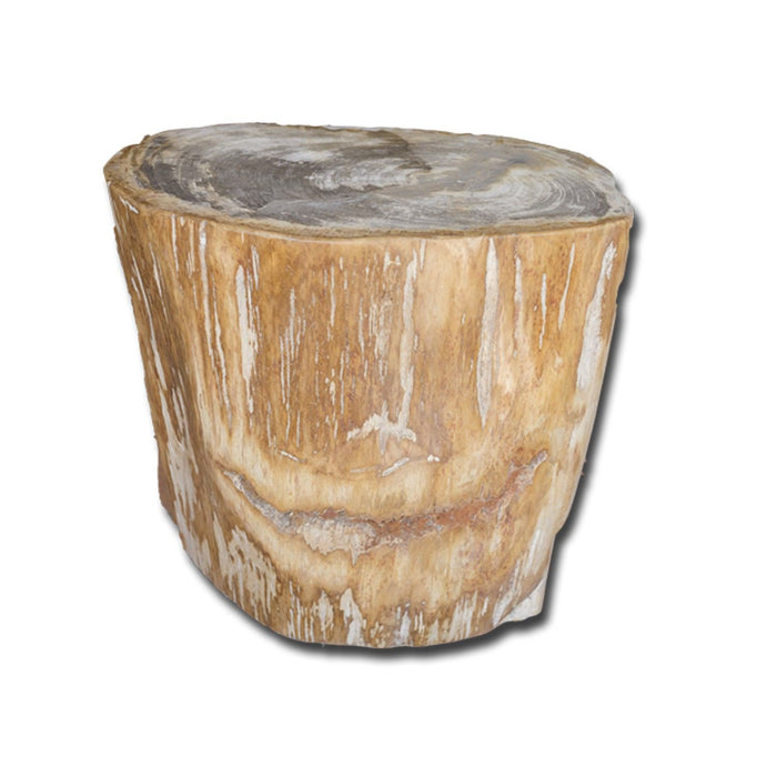 PF-2139 Petrified Wood Stool by AIRE Furniture
