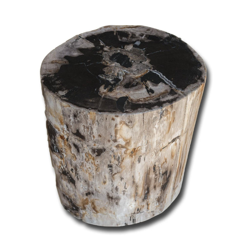 PF-2153 Petrified Wood Stool by AIRE Furniture