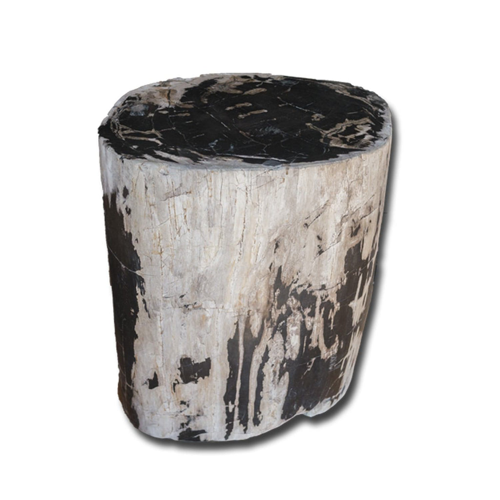 Petrified Wood Stool- 18"h- PF2154
