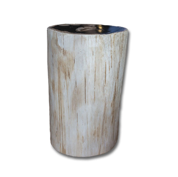 PF-2159 Petrified Wood Stool by AIRE Furniture