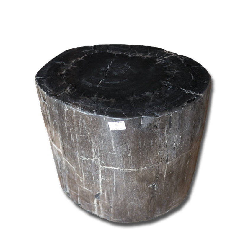 PF-2167 Petrified Wood Stool by AIRE Furniture