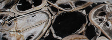 Petrified Mosaic Coffee Table Top- 36" dia PF-3004